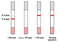 Quick Afla M1 Strip Test - Interpretation of results